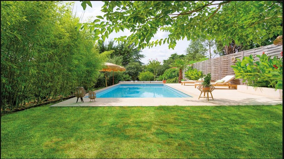 Piscina rectangular con jardín de bambú