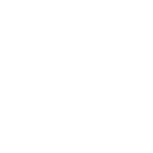 logo-w-4